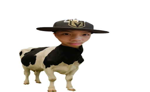 Roland Cow